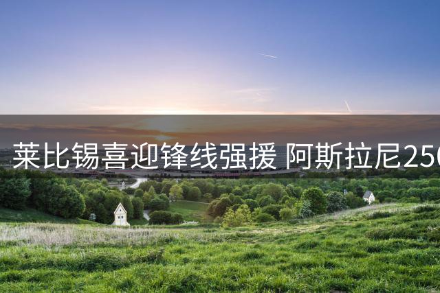莱比锡喜迎锋线强援 阿斯拉尼2500万欧加盟